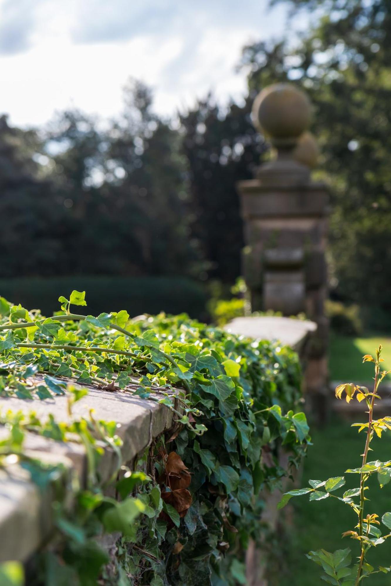 Bosworth Hall Hotel & Spa Market Bosworth Exterior photo